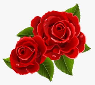 China-rose - Beautiful Images Of Rose Flowers, HD Png Download, Transparent PNG