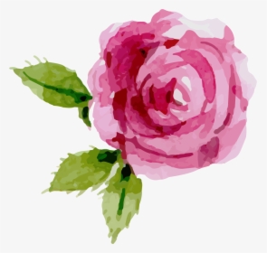 Transparent Background Pink Roses Clipart, HD Png Download, Transparent PNG