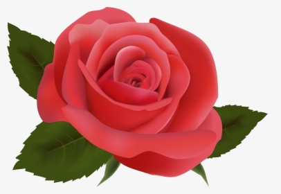 Rose Clipart Png Format - Flores Fucsias Png, Transparent Png, Transparent PNG