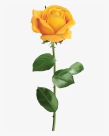 Transparent Roses Png Transparent - Yellow Rose No Background, Png Download, Transparent PNG