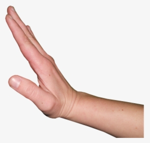 Hand Gesture, Stop, Wait, Hand, Gestures, Slide, Human - Stop Hand Gesture Png, Transparent Png, Transparent PNG