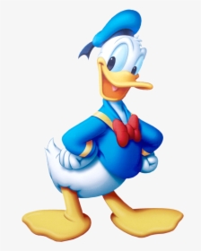 Donald Duck Colour, HD Png Download, Transparent PNG