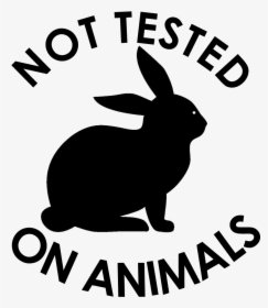 Not Tested On Animals Png - Domestic Rabbit, Transparent Png, Transparent PNG