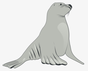 Sea Lion, Mammals, Sea, Creatures, Animals, Life - Sea Lion Clipart, HD Png Download, Transparent PNG