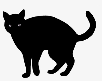 Black And White Png Of Cat - Black Cat Drawing Png, Transparent Png, Transparent PNG