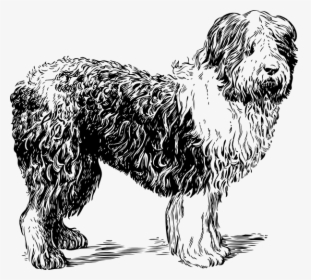 Dogs Clipart Black And White - Sheep Dog Clipart Black And White, HD Png Download, Transparent PNG