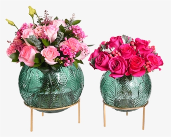 Adam & Eve Collection - Garden Roses, HD Png Download, Transparent PNG