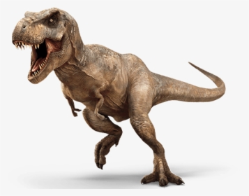 T Rex Bone Shows These Dinosaurs May Have Been Cannibal - Tyrannosaurus Rex, HD Png Download, Transparent PNG