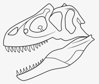 T Rex Skeleton Coloring Pages - Sketch, HD Png Download, Transparent PNG