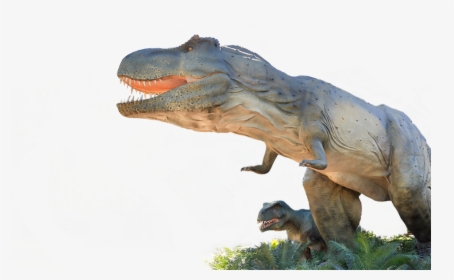 Transparent T Rex Head Png - Adelaide Zoo Dinosaurs Alive, Png Download, Transparent PNG