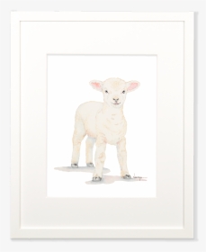 Baby Lamb Wall Art   Class - Sheep, HD Png Download, Transparent PNG