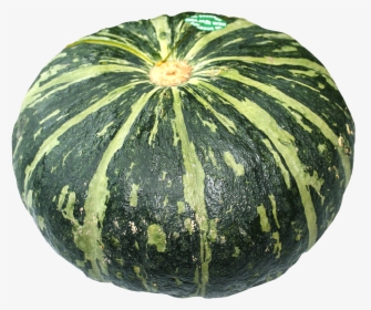 Winter Gourd, And Melon Squash,fruit,figleaf Gourd,produce,vegetarian - Pumpkin Images Hd Png, Transparent Png, Transparent PNG