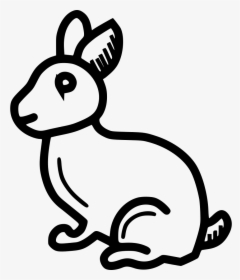 Bunny Rabbit Cute Happy Animal, HD Png Download, Transparent PNG