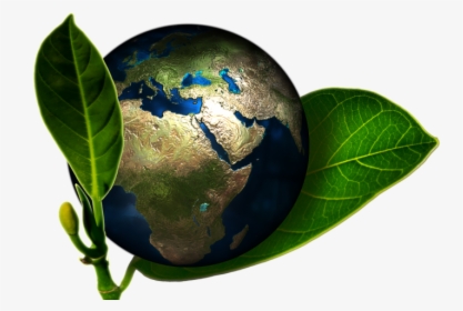 Ya Sabemos Cómo Será El Clima Del Planeta En - Green Leaves With Earth, HD Png Download, Transparent PNG