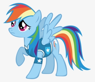 Waranto, Clothes, Female, Looking Up, Mare, Pegasus, - Rainbow Dash Winter Wrap Up, HD Png Download, Transparent PNG