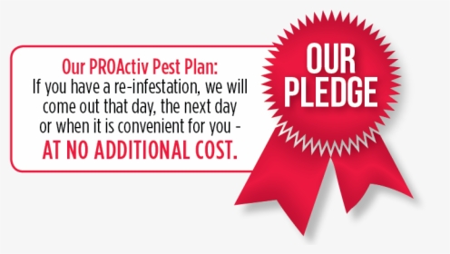 Year Round Pest Control Snow Hill, Md - Graphic Design, HD Png Download, Transparent PNG