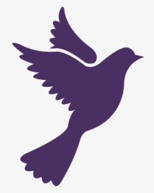 Thumb Image - Pigeon Icon Png, Transparent Png, Transparent PNG