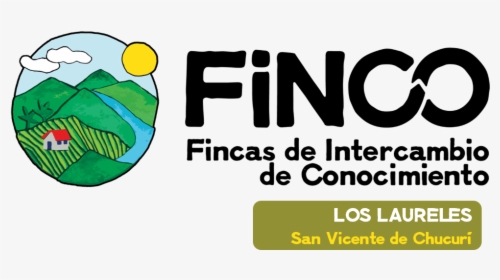 Finco - Graphic Design, HD Png Download, Transparent PNG