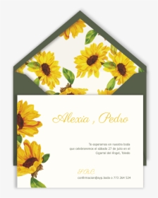 Inv Flores Amarillas Sb Verde - Sunflower, HD Png Download, Transparent PNG