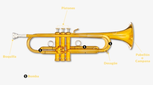 Trumpet, HD Png Download, Transparent PNG