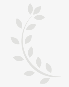 Circle, HD Png Download, Transparent PNG