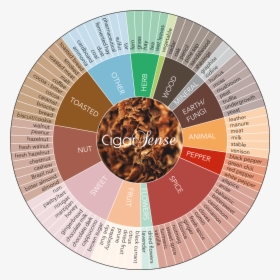 Pipe Tobacco Flavor Wheel, HD Png Download, Transparent PNG