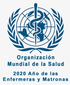 Modelo - World Health Organization 2019, HD Png Download, Transparent PNG
