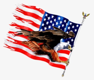 Eagles And Flags, HD Png Download, Transparent PNG