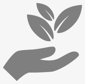 Hand Holding Leaf Icon, HD Png Download, Transparent PNG