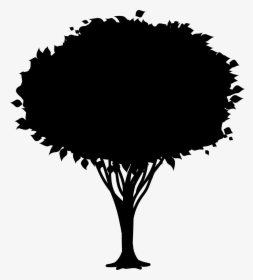 Sustainable Black And White, HD Png Download, Transparent PNG