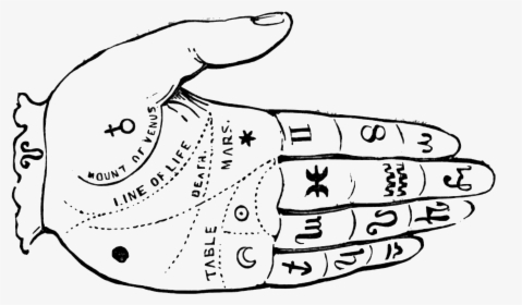 Palm Reading Diagram - Fortune Teller Hand Png, Transparent Png, Transparent PNG