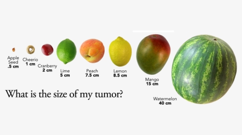 Congratulations The PNG Image Has Been Downloaded Big Is 2 Cm Tumor 