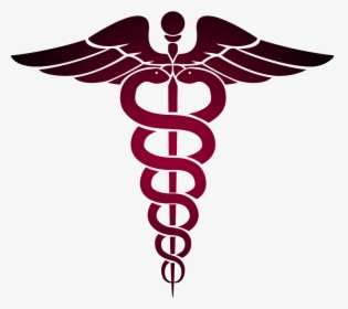 Physicians Must Currently Be Licensed To Practice Medicine - Nurse Symbol Vector, HD Png Download, Transparent PNG