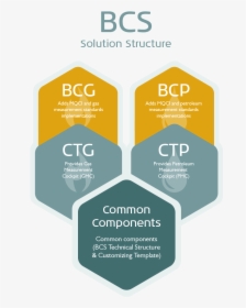 Use Ctg And Ctp To Analyze Your Existing Calculations, - Bcp Bcg, HD Png Download, Transparent PNG