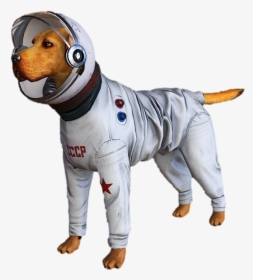Cosmo The Spacedog Transparent, HD Png Download, Transparent PNG