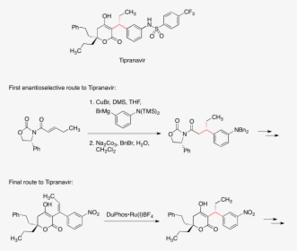 Antibacterial Compounds, HD Png Download, Transparent PNG