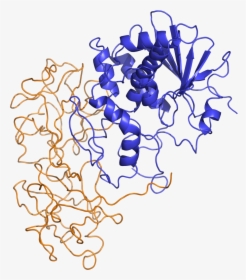 Ricin Structure, HD Png Download, Transparent PNG
