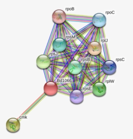 Bd1066 Protein - Circle, HD Png Download, Transparent PNG