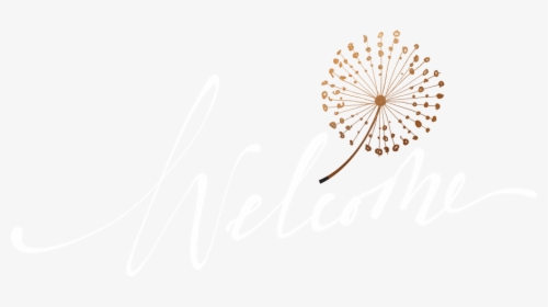 Orange, HD Png Download, Transparent PNG