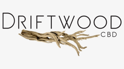 Driftwood, HD Png Download, Transparent PNG