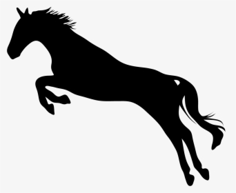 Jumping Horse Decal, HD Png Download, Transparent PNG