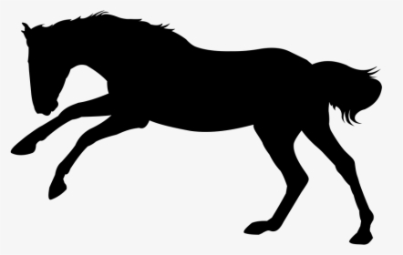 Horse, Horse Gallop, Gallop, Animal, Stallion - Animated Horse Silhouette, HD Png Download, Transparent PNG