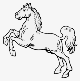 Horse Rearing Up Coloring Page, HD Png Download, Transparent PNG