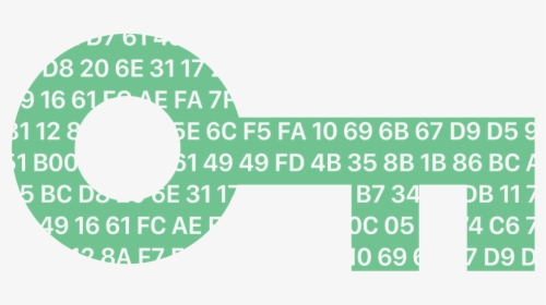 Circle, HD Png Download, Transparent PNG