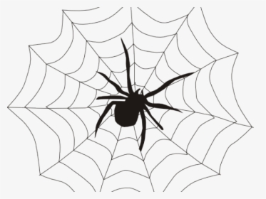 Web Clipart Spinder - Web Spider, HD Png Download, Transparent PNG