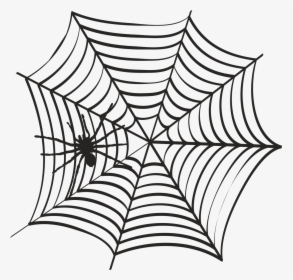 Spider Web - Pin The Spider Game, HD Png Download, Transparent PNG