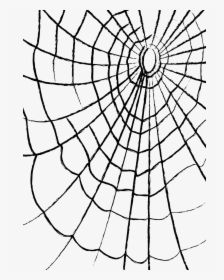 Liked Like Share - Cobweb, HD Png Download, Transparent PNG