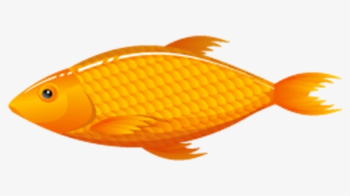 Thumb Image - Goldfish, HD Png Download, Transparent PNG