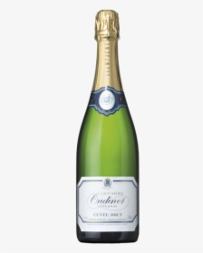 Oudinot Brut, HD Png Download, Transparent PNG