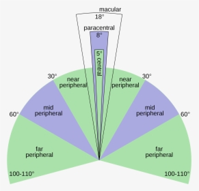 Diagram, HD Png Download, Transparent PNG